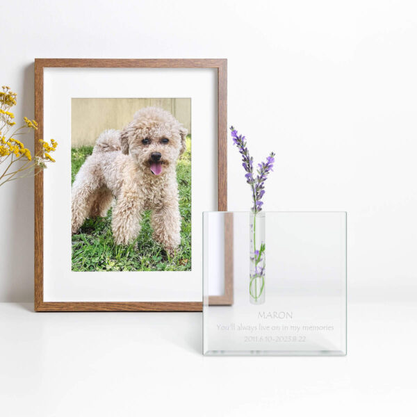 定格與寵物的美好時光。打造專屬刻字寵物紀念禮品，刻下它獨一無二的名字