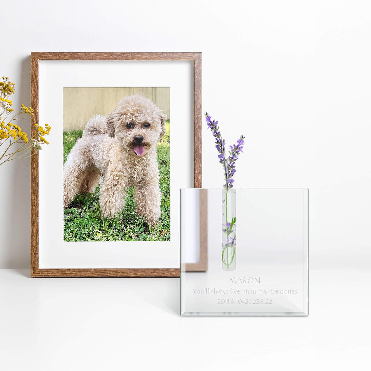 定格与宠物的美好时光。打造专属刻字宠物纪念礼品，刻下它独一无二的名字