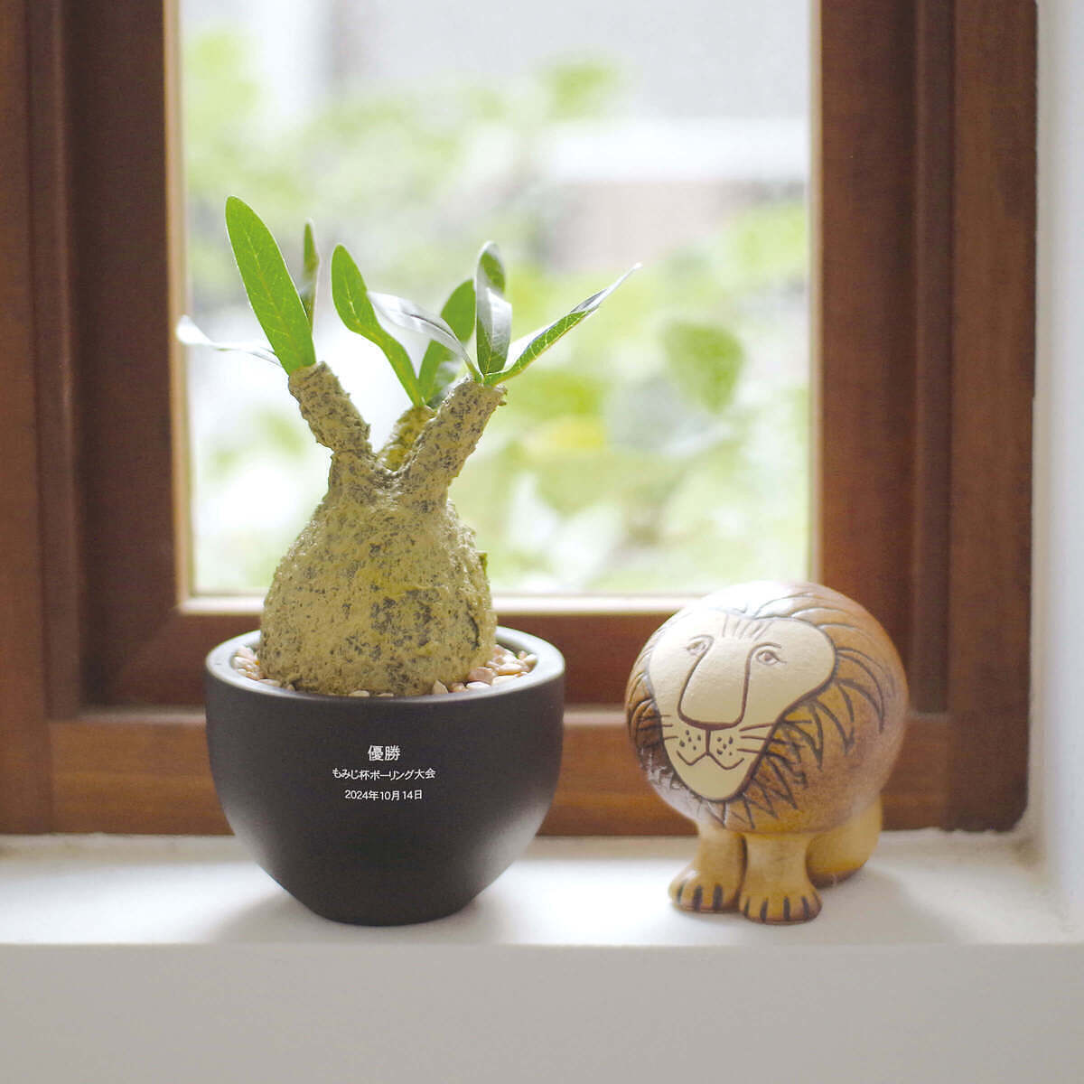 送父母的禮物：金鯱純米吟釀酒的高品質與獨家定製刻圖文的魅力