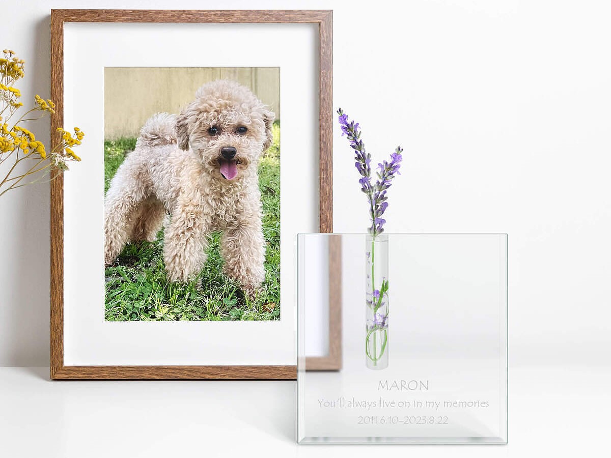 透明感のあるガラス製のシングルフラワーベース（一輪挿し）。スクエア型でインテリアに馴染む、名前入りメッセージを刻めるギフト。