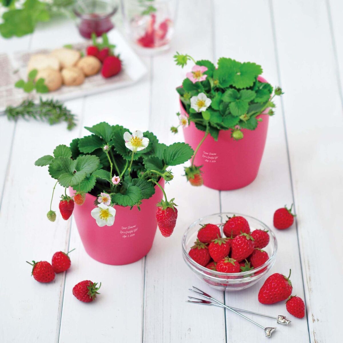 春の訪れを感じる誕生日プレゼント特集！名入れで世界にひとつの栽培キットやマグボトルを紹介