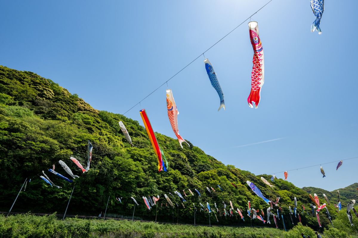 初夏の爽やかな日差しと木漏れ日。熱中症予防と暑さ対策の準備を想起させるイメージ
